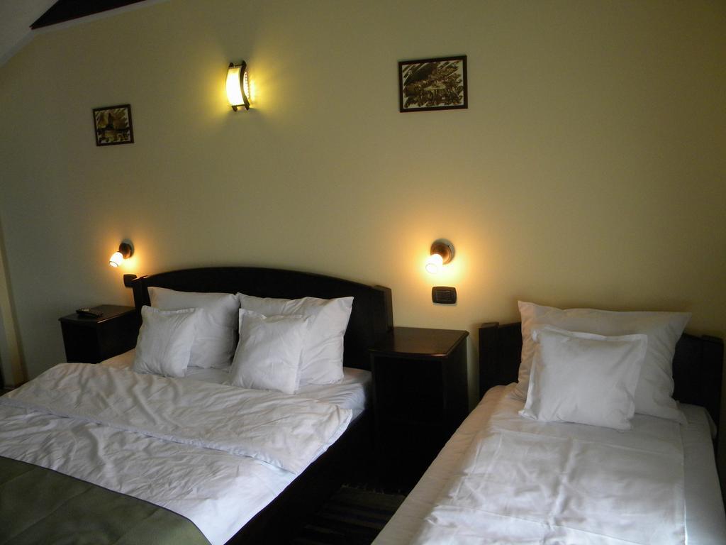 Pensiunea Mason'S Risnov Room photo